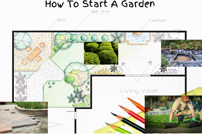 How to start Gardening