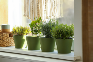 Indoor_Herb_Garden