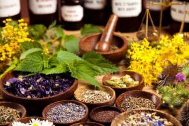 medicinal_herb_gardening