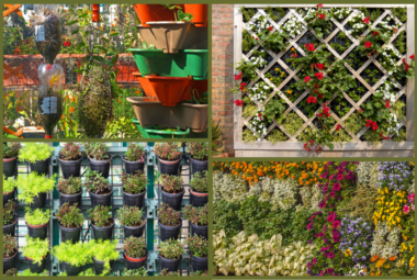 vertical garden ideas